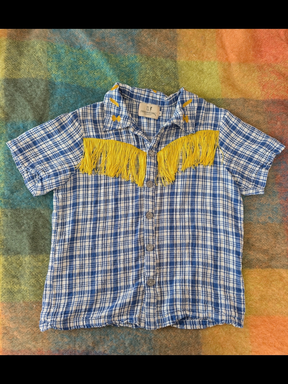 Spaghetti Western Fringe blouse - Picture 2 of 4
